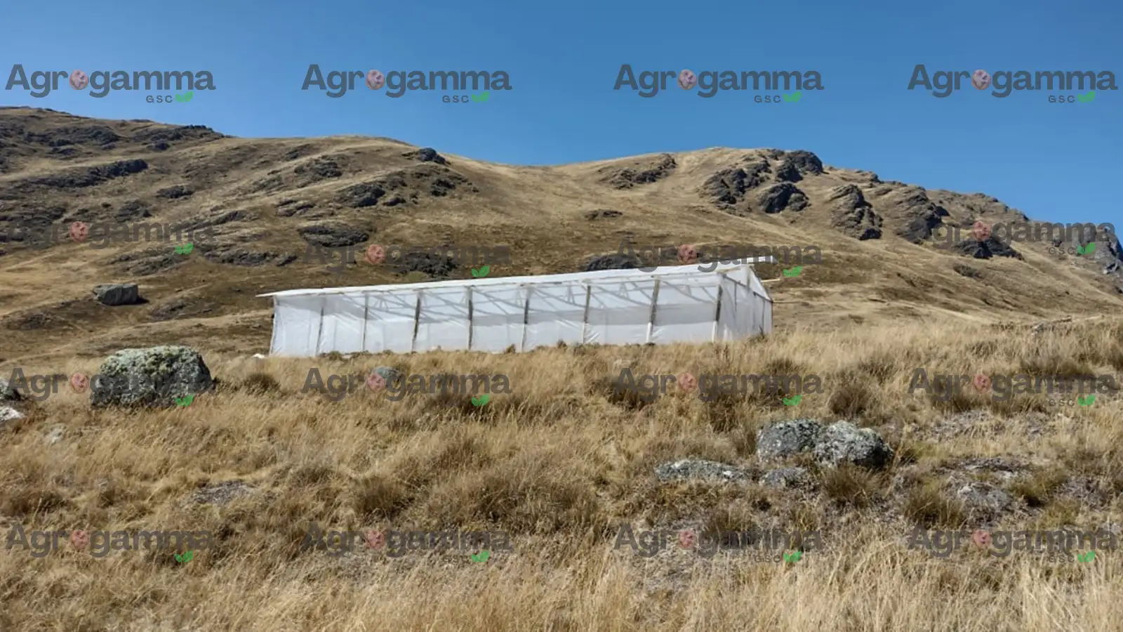 Vista exterior del invernadero